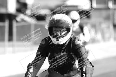 media/Feb-23-2025-2WTD (Sun) [[9604a77d5d]]/1-Around the Pits/